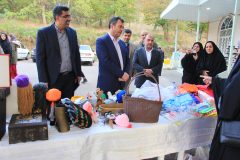 اردوی تخصصی کاریابی ویژه دختران طرح یاس در استان گلستان برگزارشد