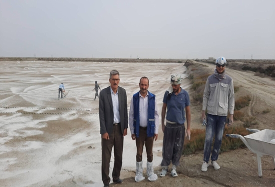 آماده سازی مزارع پرورش میگو جهت پرورش در سال آتی