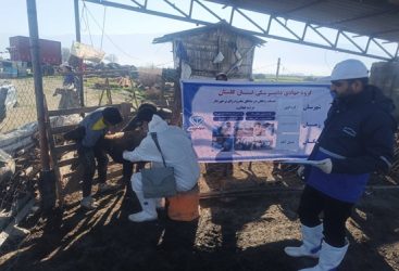 روایت یک روز کاری گروه جهادی دامپزشکی شهرستان کردکوی روستای بدیل آباد و حاج آباد دشت