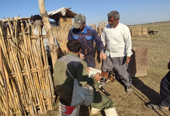 همزمان با دهه بصیرت برگزاری اردوی جهادی دامپزشکی درمنطقه قره آغاچ شهرستان کلاله