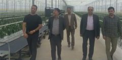 با حضور مدیر کل امور اقتصادی و دارایی استان انجام شد؛بازدید از پروژه یاسان دیار گلستان