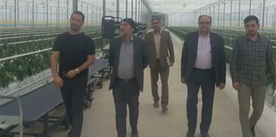 با حضور مدیر کل امور اقتصادی و دارایی استان انجام شد؛بازدید از پروژه یاسان دیار گلستان