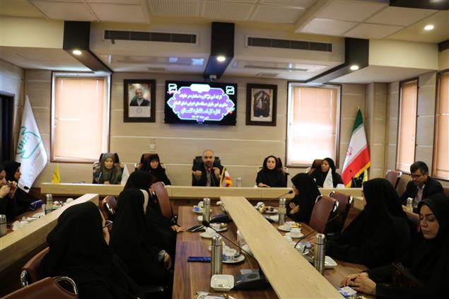 برگزاری کارگاه آموزشی کاربرد استاندارد در خانواده برای مشاورین امور زنان و خانواده دستگاه‌های اجرایی استان گلستان