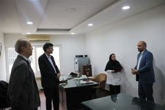 صدور پروانه استاندارد آرد کامل برای دو واحد تولیدی در گلستان