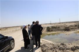 بازدید رئیس سازمان اوقاف و امور خیریه از سایت میگوی گمیشان