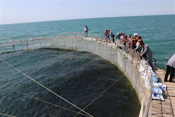 بازدید رئیس سازمان اوقاف و امور خیریه از سایت پرورش ماهی در قفس
