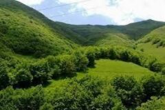 بازگشت بیش از ۲۸۰ هکتار جنگل و مرتع به منابع طبیعی