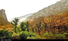 با پیگیری دادگستری گلستان؛ سند دار شدن بیش از ده درصد پارک ملی گلستان