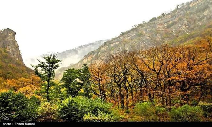 با پیگیری دادگستری گلستان؛ سند دار شدن بیش از ده درصد پارک ملی گلستان