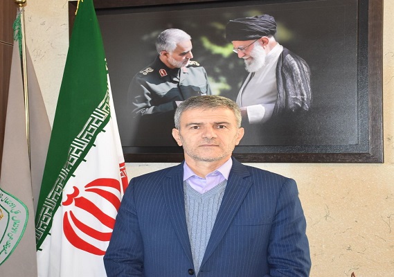 سوداگران چوب‌ به جان جنگل‌های گلستان افتادندونظارت‌ها و برخوردها با قاچاقچیان تشدید می‌شود