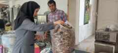 ترویج توسعه کشت زعفران در مناطق مستعد اراضی شیبدار شهرستان رامیان