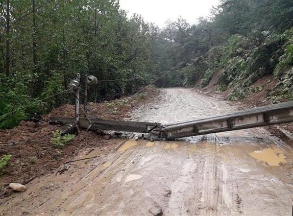 ۲۵۰ نفر ساعت تلاش بی وقفه برای رفع خاموشی ناشی از طوفان در گلستان