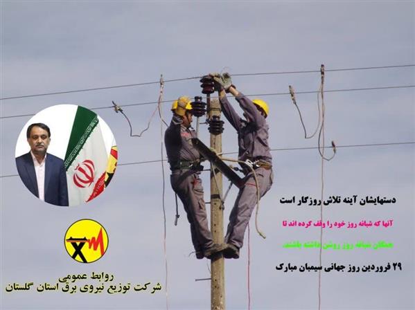 پیام تبریک مدیرعامل شرکت توزیع نیروی برق استان گلستان به مناسبت جهانی سیمبان