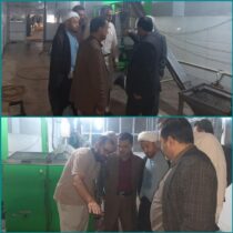 بازدید مدیر تعاون روستایی گلستان از فرآیند خرید و روغن کشی دانه زیتون و نظارت بر روند آن