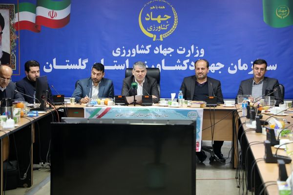 کاهش ۹۰ درصدی پیمان‌سپاری ارزی برای صادر کنندگان مرکبات