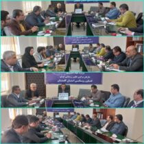 طرح ساماندهی و کارآمدسازی تعاونی‌های غیرفعال و زیانده