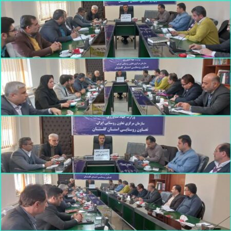 طرح ساماندهی و کارآمدسازی تعاونی‌های غیرفعال و زیانده