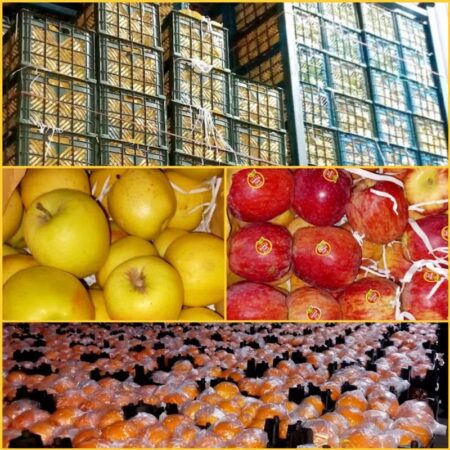 عرضه میوه شب عید به قیمت مناسب