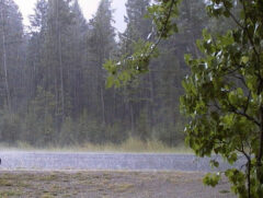 درازنوی کردکوی با 51میلی متر ، بیشترین بارش 13 و 14 آبان  را در گلستان ثبت کرد