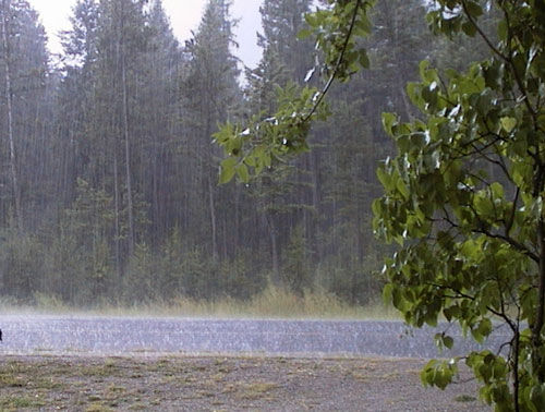 درازنوی کردکوی با 51میلی متر ، بیشترین بارش 13 و 14 آبان  را در گلستان ثبت کرد