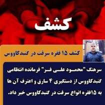 كشف 15 فقره سرقت در گنبدکاووس
