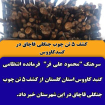 کشف 5 تن چوب جنگلي قاچاق در گنبدكاووس