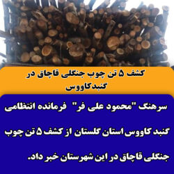 کشف 5 تن چوب جنگلي قاچاق در گنبدكاووس
