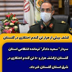 کشف بیش از هزار تن گندم احتکاری در گلستان