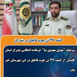 کشف ۳۷ تن چوب قاچاق در بندرگز