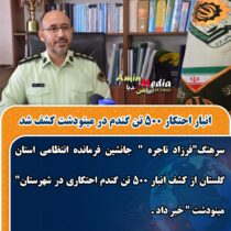 انبار احتکار ۵۰۰ تن گندم در مینودشت کشف شد