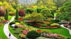 حفظ و گسترش فضای سبز شهرها، رویکرد اصلی کمیسیون ماده ۷ شهرداری ها