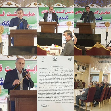 برگزاری همایش کشت قراردادی گندم کشور در شهرستان علی آبادکتول