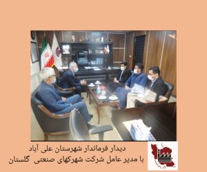 فرماندار شهرستان علي آباد با مدير عامل شركت شهركهاي صنعتي ديدار كرد