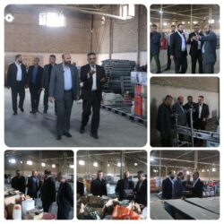 معاون سیاسی امنیتی استاندار از انبارهای سازمان اموال تملیکی استان بازدید کرد