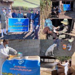 برگزاری اردوی جهادی توسط اداره دامپزشکی شهرستان گالیکش