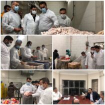 بازدید شبانه سرپرست دامپزشکی استان از کشتارگاه صنعتی طیور حیات گلستان