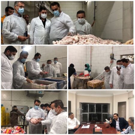 بازدید شبانه سرپرست دامپزشکی استان از کشتارگاه صنعتی طیور حیات گلستان