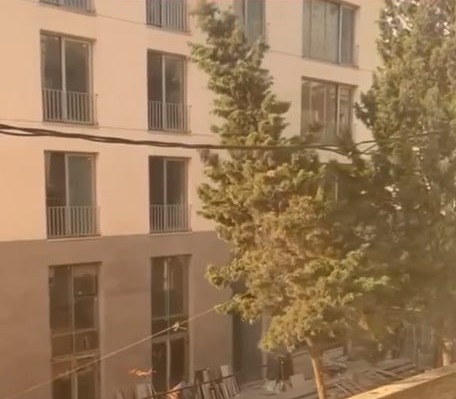 توضیحات شهرداری گرگان در خصوص قطع درختان در منزل مسکونی