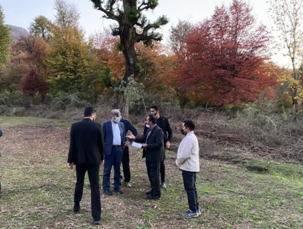 ورود دادستانی به موضوع جنگل خواری در شهرستان گرگان و فراخوانده شدن مدیر کل منابع طبیعی استان به دادسرا