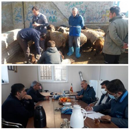 بازدید از میدان دام وحدت عشایری گنبد کاووس