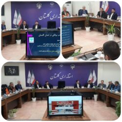 تشکیل ستاد هماهنگی مقابله با سویه جدید بیماری تب برفکی در استانداری گلستان