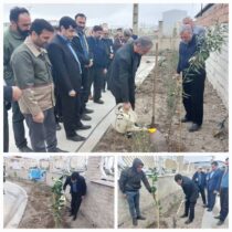 مراسم درختکاری به مناسبت هفته منابع طبیعی و آبخیزداری در شهرک صنعتی کردکوی