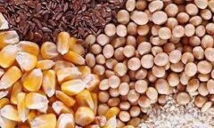 ۳۵ میلیارد ریال از مطالبات سویاکاران گلستانی در ۲ روز آینده پرداخت می‌شود