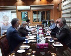 دیدار نماینده مردم آزادشهر و رامیان با مدیر مخابرا ت منطقه گلستان