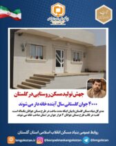 ۴۰۰۰ جوان گلستانی سال آینده خانه دار می شوند