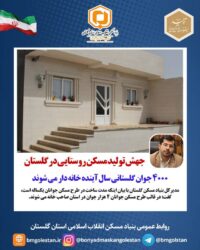 ۴۰۰۰ جوان گلستانی سال آینده خانه دار می شوند