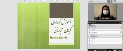 برگزاری کلاسهای آموزش شهروندی گل و گیاه به صورت مجازی