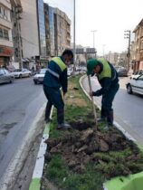 ” آغاز پویش مدرسه سبز و شهری سبزتر با همت مضاعف سازمان سیما، منظر و فضای سبز شهرداری گرگان “