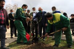 پانزدهم اسفندماه «روز درختکاری» همراه با شهردار گرگان