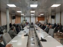 سرپرست اداره کل صنعت ، معدن و تجارت گلستان خبر داد : مقابله جدی با عرضه لوازم یدکی تقلبی